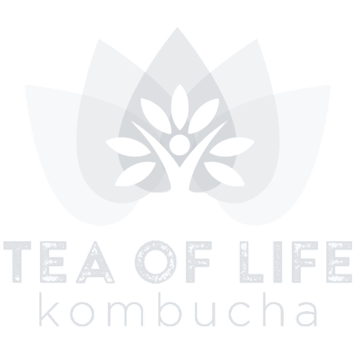 Untitled - 2026-03-24T171350.645